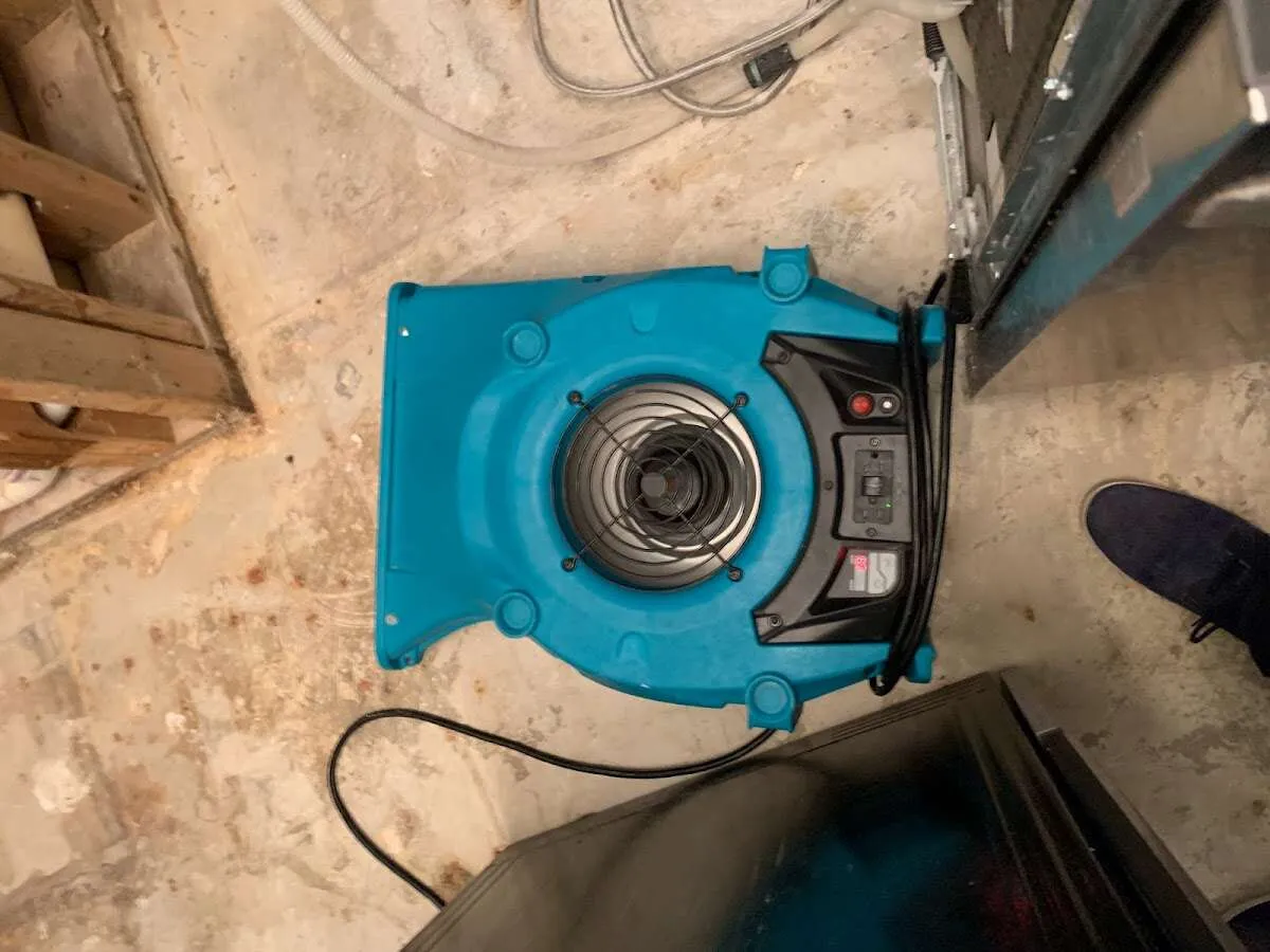 Air mover drying equipment for Mold Remediation & Removal in Spout Springs